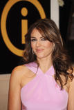 th_21374_elizabeth_hurley_photocall_tikipeter_celebritycity_009_123_158lo.jpg