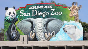 [Image: th_994695658_Bus_to_San_Diego_Zoo_122_565lo.jpg]