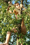 Alizeya-A-Tree-Monkey-3--v4bjjhllpr.jpg